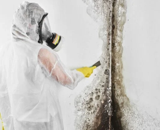 Mold remediation